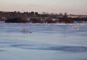 A branch which has been stuck in the ice for weeks now