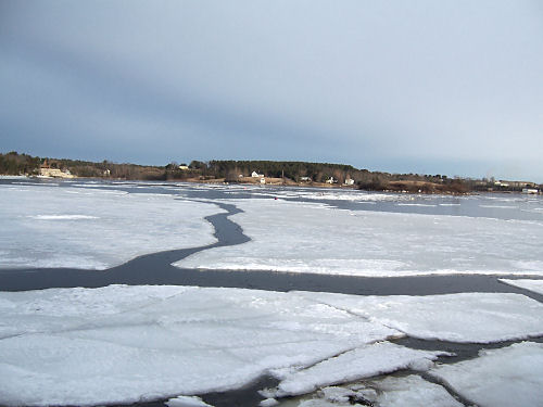 Great sheets of ice have broken away and are ready to float out of the cove with the wind and tide.