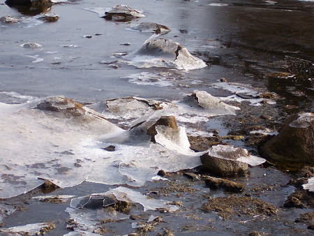Closeup of ice left behind when the tide receded.