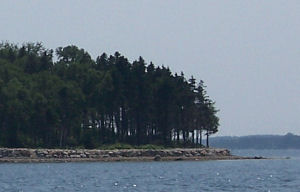 The entire natural coastline of this island has been destroyed and replaced with a rock wall.