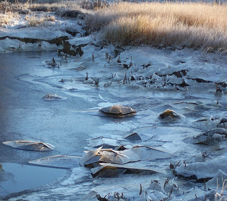 Ice breaks over rocks as the tide recedes